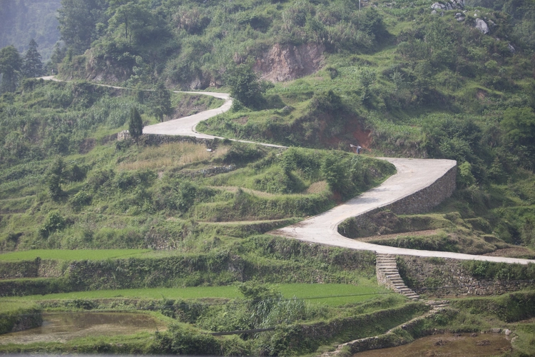 Winding road through farms